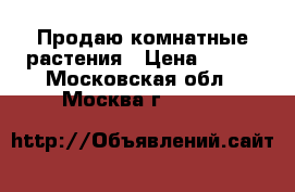 Продаю комнатные растения › Цена ­ 120 - Московская обл., Москва г.  »    